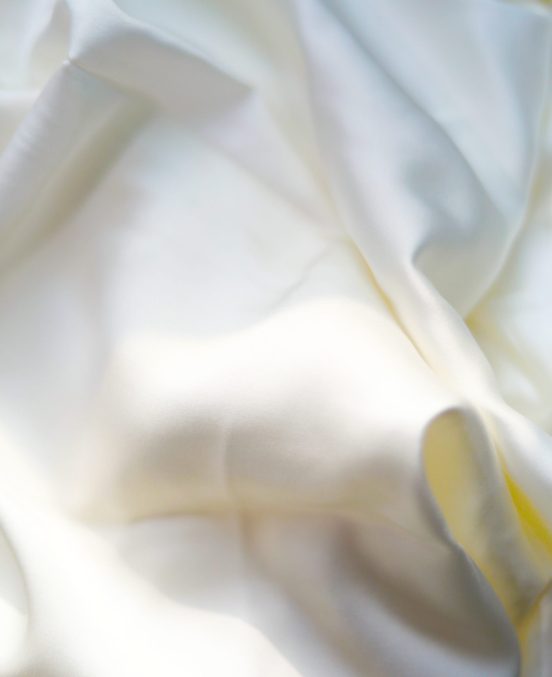 首页- J9集团国际站官网入口