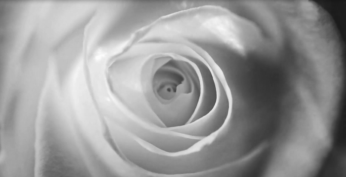 首页- J9集团国际站官网入口